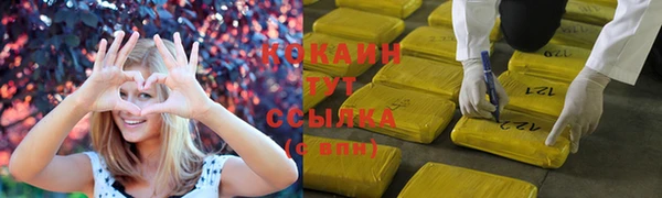 прущие грибы Лиски