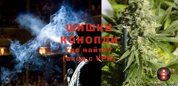 прущие грибы Лиски
